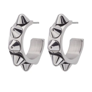 Edblad örhängen  - Säljer dessa örhängen från Edblad.Säljer för att dom inte har kommit till användning💓