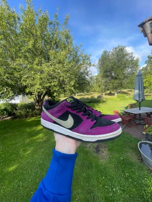 Nike SB dunk ”Red Plum” - Säljer mina Dunk sb Red Plum då jag inte fått så mycket användning för dem. Dem har skejtats i ett fåtal gånger men är fortfarande i bra skick. Storlek 43/9.5 Priset är diskuterbart 