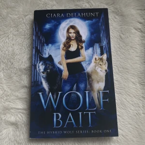 Fantasy bok - En oläst fantasy bok. Helt ny. Är på engelska. Trender på booktok. 