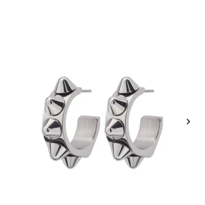 Edblad örhängen, Peak Creoles S Steel - Nytt skick, aldrig använda  Beställde fel (Ord pris 399)