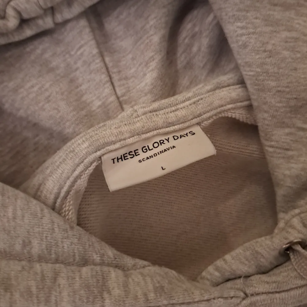 Säljer denna sköna hoodien från These Glory Days | Storlek L | Tillverkad i 100% bomull | Inga deffekter | Säljer för 449 Kr . Hoodies.