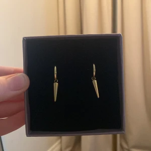 Edblad örhänge  - Säljer mina guldiga örhängen från Edblad! Pris kan diskuteras