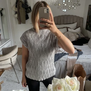 Silvertopp - Silvertopp från zara! 