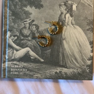 Örhängen  - Fint skick, knappt använda! Silverörhängen förgyllda med 18k guld