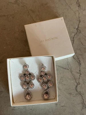 Örgängen Lily & Rose - Örgängen från Lily & Rose i silver och rosa, fint skick!