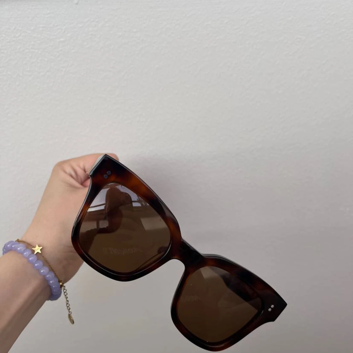 Chimi Tortoise 07 - 90