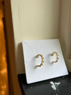 Örhängen (oanvända) - Oanvända örhängen från ur och Penn. Säljer då jag inte använder guldsmycken. 