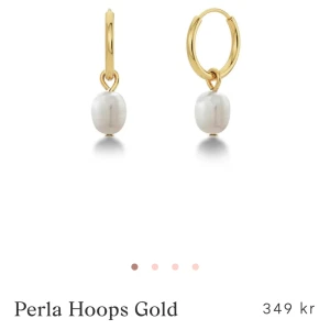 Örhängen - Guldiga örhängen med pärlor från Edblad💞Endast testade och nypris är 349kr