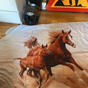 Tyg affisch  -  Två stycken tyg affischer med hästar på superfina och superlätt att hänga upp på väggen eller vart man nu vill ha dem 50 kr styck 