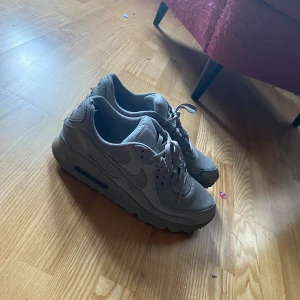 Air Max 90 - Välanvända men i bra skick