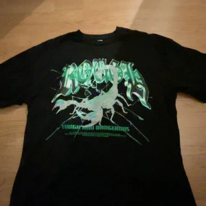 T-Shirt - Oversized tshirt, bra skick, nästan alldrig använt den, säljer för att göra plats i garderoben, strl L