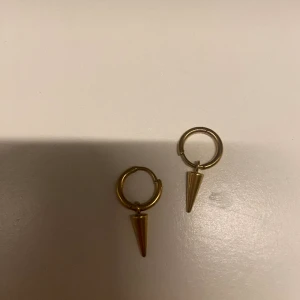 Guld örhängen - Supertrendiga Sthlm-stil örhängen med kon i guld ifrån Edblad.  Nypris: 399 kr