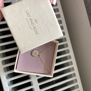 Lily and Rosé halsband  - Halsband från lily and rosé i modellen Sofia. Aldrig använt.   Nypris: 329 