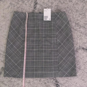 Rutig kort Kjol - Rutig kjol från HM, prislapp kvar. Längd ca 41cm, dragkedja bak