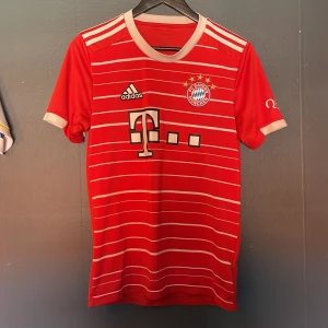 Bayern tröja - Säljer nu min Bayern München mane tröja från 2021 eftersom jag växt ut den andvänd fåtal gånger och orginal pris 1200.pris kan diskuteras!