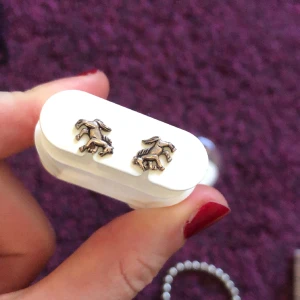 Hästörhängen - Från ur och penn 🩷pris diskuterbart 