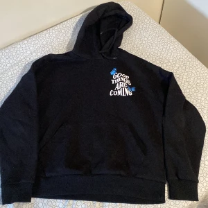 Svart hoddie  - i bra skick, väldigt lite använd och bekväm
