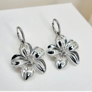 Handgjorda örhängen  - Handgjorda örhängen ● Material- rostfritt stål, metal ●Örhängeskrokar - rostfritt stål ●Längd -5cm .