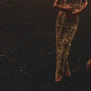 Skitsnygg leopard kjol från zara! Helt ny🥰men prislapp kvar