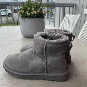 Uggs - Äkta uggs i stl 36, Säljes för 1000kr men kan gå ner i pris vid smidig och snabb affär. Fint skick som ni ser på bilderna. Stl 36, men eftersom uggs töjs efter användning skulle jag säga att det passar även 37.