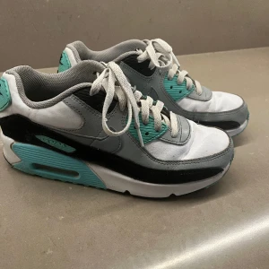 Nike air Max - Sneakers Nike air Max. Strl 38,5. Färg vit, grå, svart, turkost. Bra begagnat skick. 