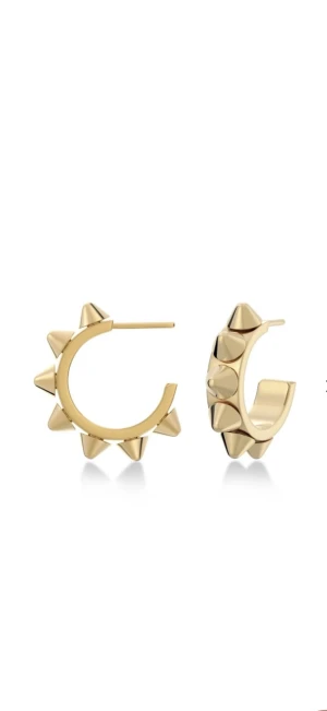 Edblad örhängen  - Säljer mina Edblad örhängen som är så fina men säljer för att de inte används. De är i rostfritt stål. Inga tecken på användning, som nya!