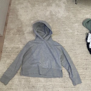 Hoodie från zara - Fin hoodie från zara som är en gammal model 