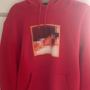 Hov1 hoodie barn av vår tid - Storlek L. Knappt använd hoodie, lite av trycket skadat i tvätt och inte använd sen dess pågrund då jag inte ville skada det mer. 