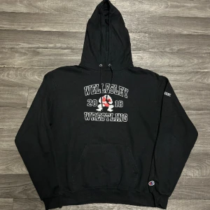 Champion Wellesley Hoodie - Snygg college hoodie ifrån champion i storlek M! Bara att skriva om du undrar över något🙏