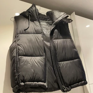 Väst zara  - Väst köpt den zara 