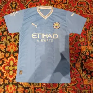Nästan helt ny Manchester city t-shirt. Den är storlek L i barnstorlek och motsvarar S eller 160-170 cm. Fråga för fler bilder. Nypris: 899kr säljer på grund av den är för liten