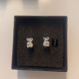 Öronhängen  - Jätte fin skick men kommer inte till användning 