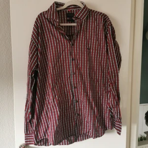 Dahlin skjorta  - Dahlin skjorta Storl XXL Katt finns i hemmet  