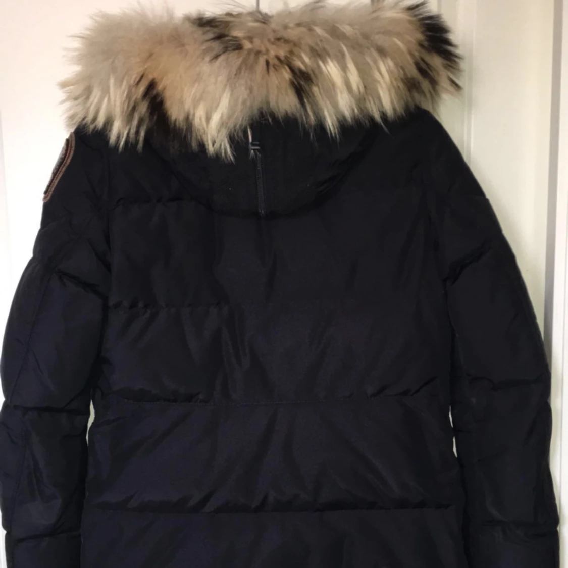 Parajumper longbear - 91