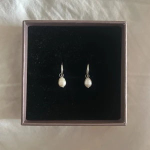 Pärlörhängen  - Otroligt fina örhöngen från Edblad men som aldrig kommer till användning💕