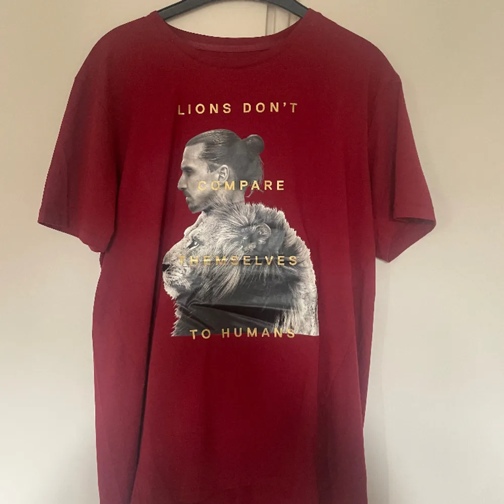 A-Z (Zlatan) t-Shirt i storlek XL. Nästan helt oanvänd. T-shirten finns inte att köpa längre eftersom A-Z lagt ner.. T-shirts.