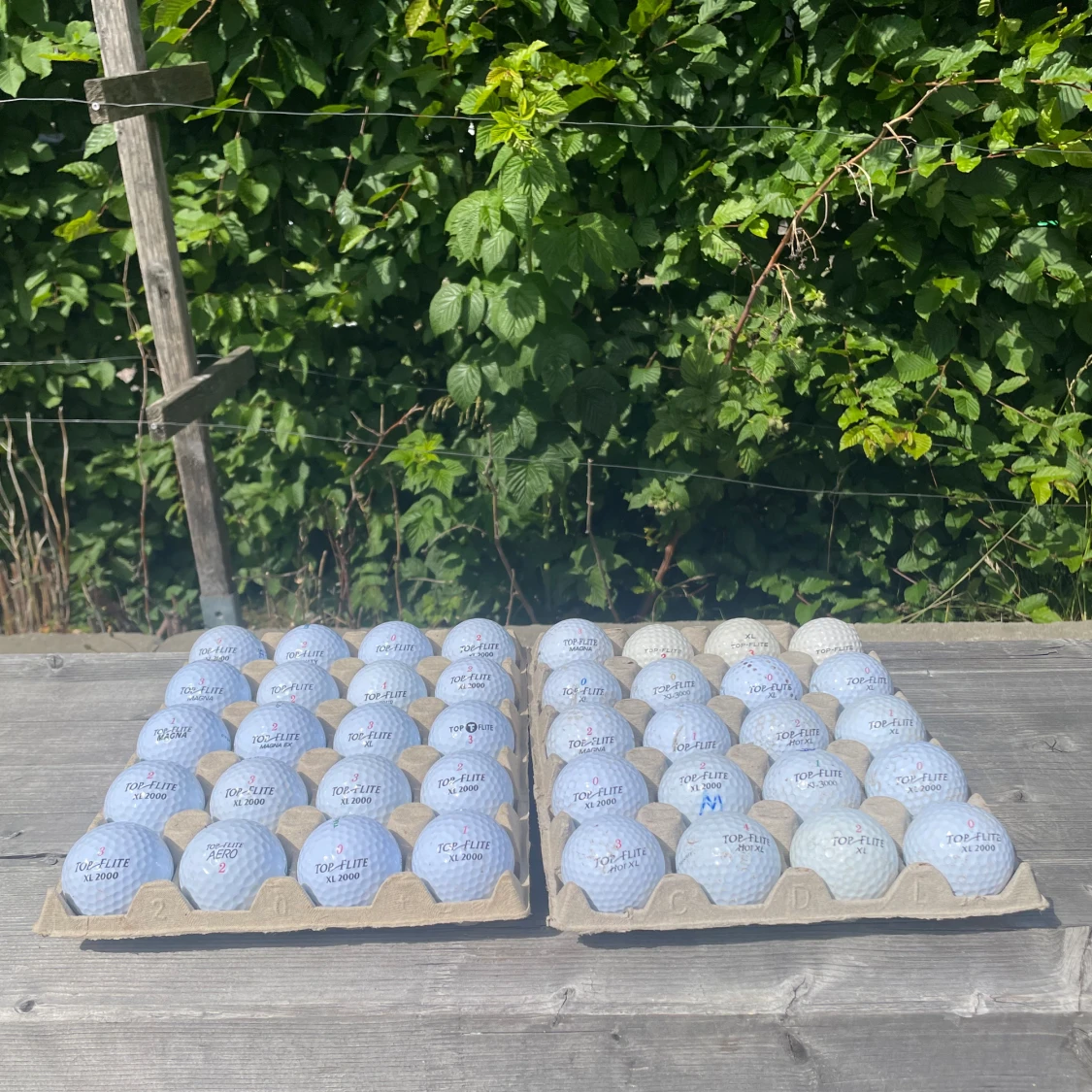 Top-flite golfbollar olika modeller  - 93