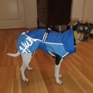 Hurtta regntäcke - Superfint regntäcke från kvalitetsmärket Hurtta.