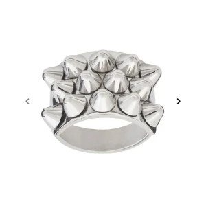 Edblad ring - Säljer min silvriga edblad ring köpt för 400kr, säljer för 200 i strl 16,8 mm💓skriv vid frågor annars använd gårna köp nu