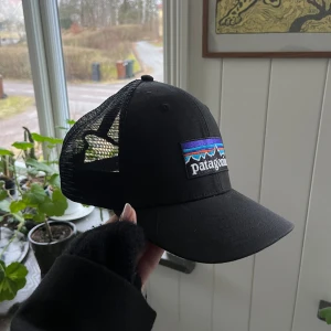 Pantagonia keps - Pantagonia keps