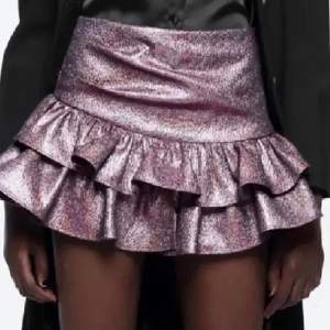 Jag söker denna glitter kjol från zara i storlek M eller S, pris kan diskuteras 