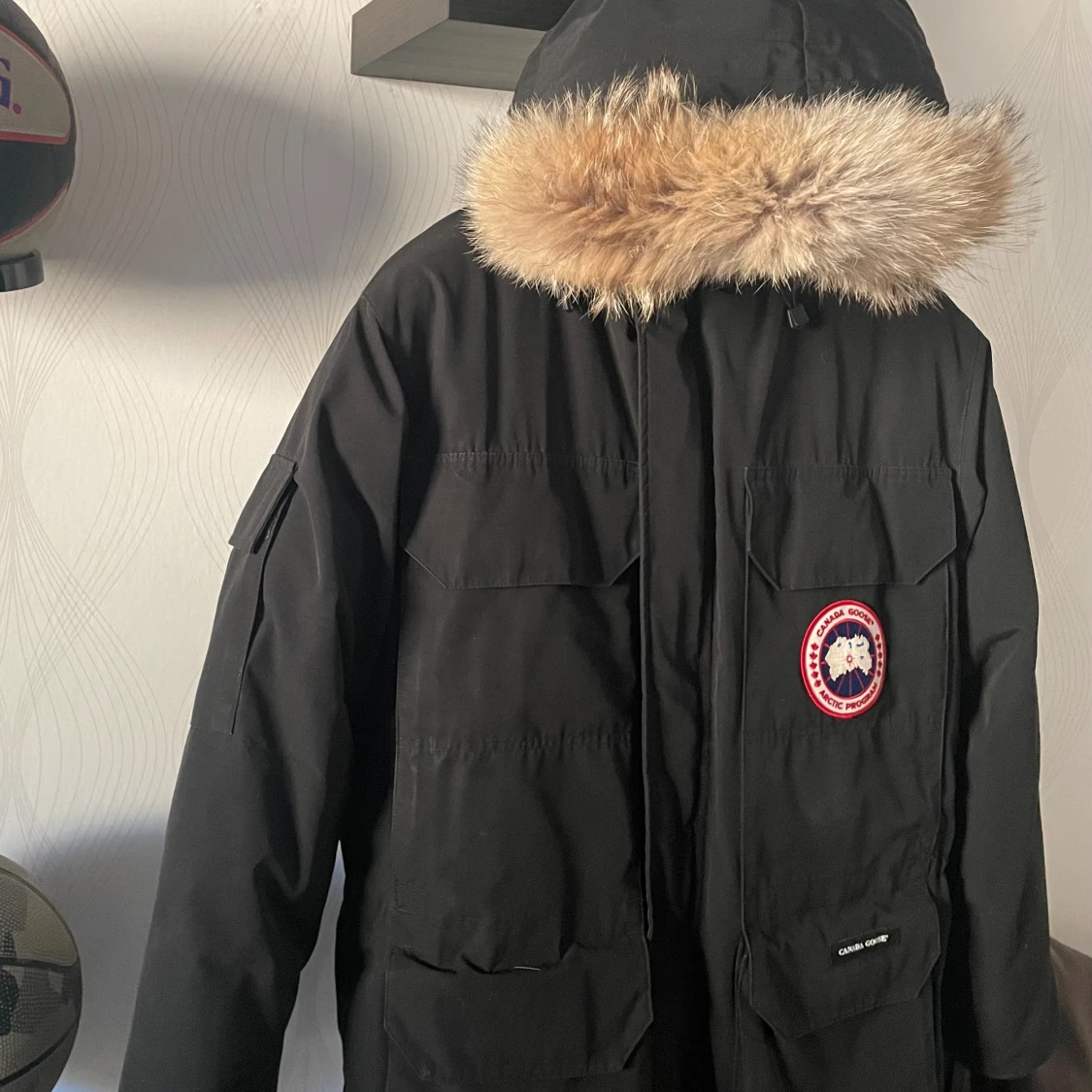 Canasta Goose expedition 