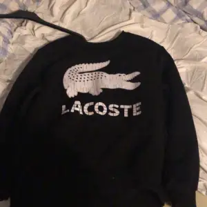 Jag säljer min Lacoste tröja för den inte passar mig längre. Hör av er vid funderingar, priset är inte hugget i sten