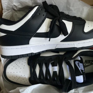 Dunks - Storlek 43 Använd några gånger. Kartongen medföljer.