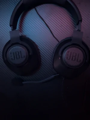 JBL quantum 100 - JBL Quantum 100, använde några enstaka gånger sen gick min konstroll sönder så de har inte blivit använda på 1 månad, pris kan diskuteras