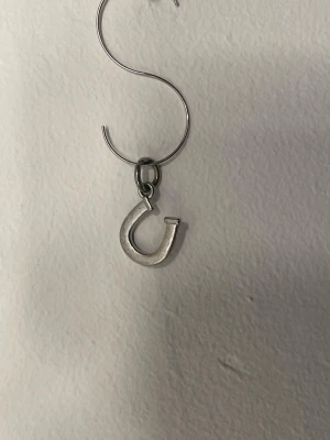 Silvrig hästsko berlock - Säljer en använd hästsko berlock. Har tappat lite färg men fortfarande väldigt fin. Kedja medföljer ej. Kontakta om du har frågor eller är intresserad!