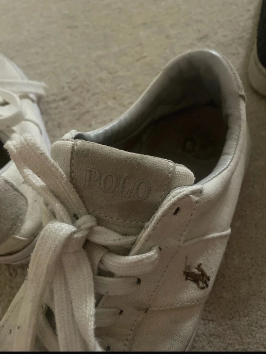 Vita låga sneakers från Polo Ralph Lauren - 4