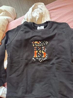 Svart hoodie från Burberry - Burberry tröja. Fin används 2 gånger passar s/m