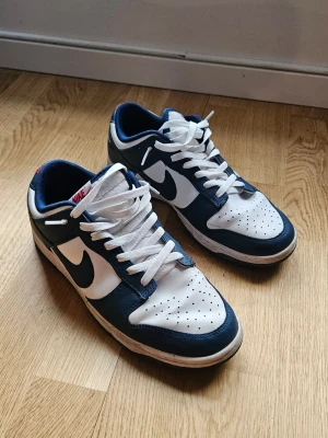Nike Dunk Low blå och vita sneakers - Säljer ett par Nike Dunk Low sneakers i blått och vitt. Skorna har vita skosnören och röd Nike-logga på hälen. Ovandelen är i läder och modellen är låg.