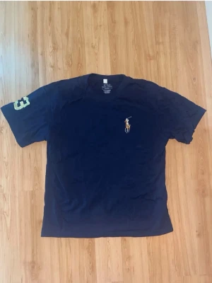 Ralph Lauren T-shirt  - Snygg mörkblå t-shirt från Ralph Lauren som är använd fåtal gånger. Modellen är custom slim fit och har rund hals. Axelbredd 48cm, längd 64,5cm. 1,21